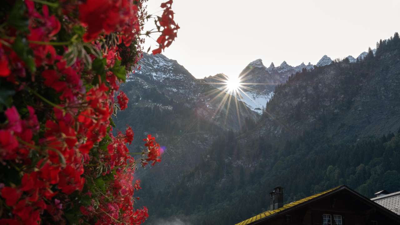 Auf den Mond folgt die Sonne