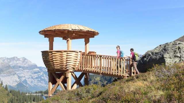 Geführte Wildbeobachtung auf der Mettmen Alp